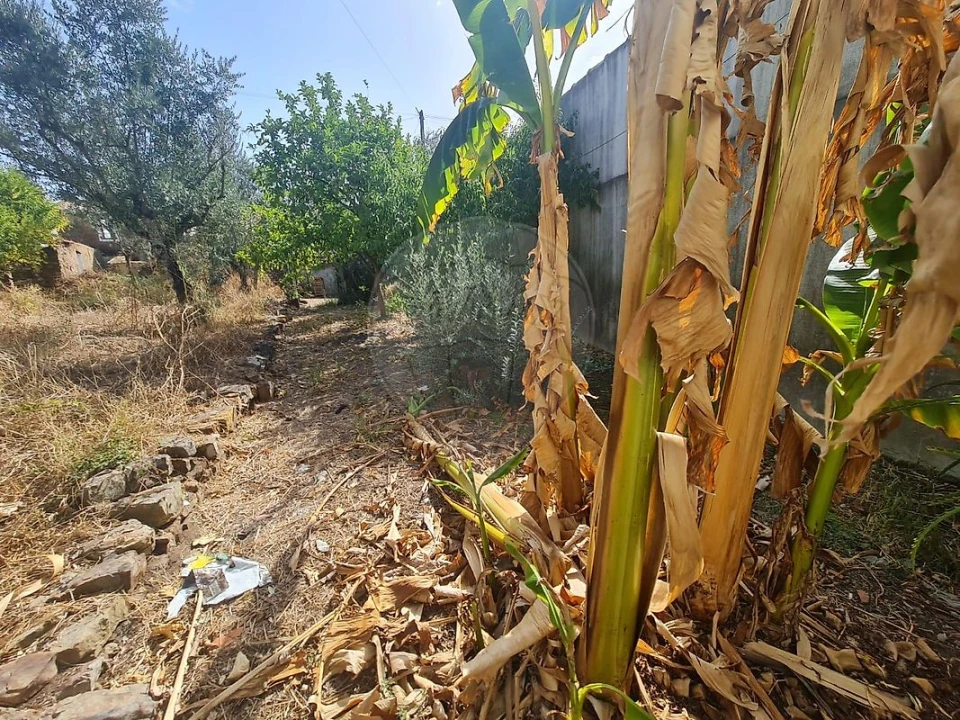 Moradia T4 para Venda em Mação, Penhascoso e Aboboreira Foto 21