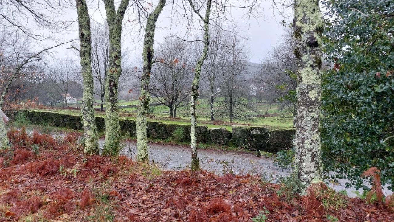 Terreno para Venda em Rossas Foto 1