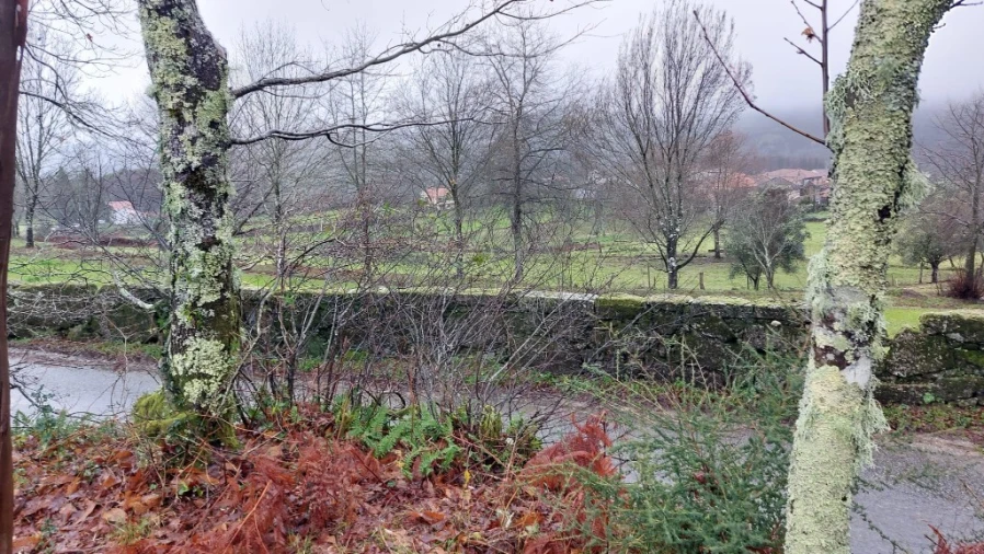Terreno para Venda em Rossas Foto 3