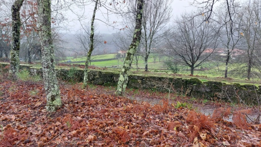 Terreno para Venda em Rossas Foto 2