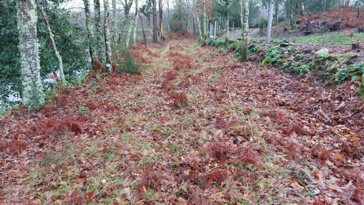 Terreno para Venda em Rossas Foto 7