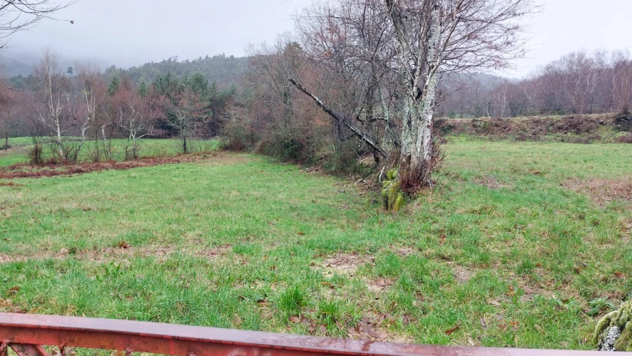 Terreno para Venda em Rossas Foto 6