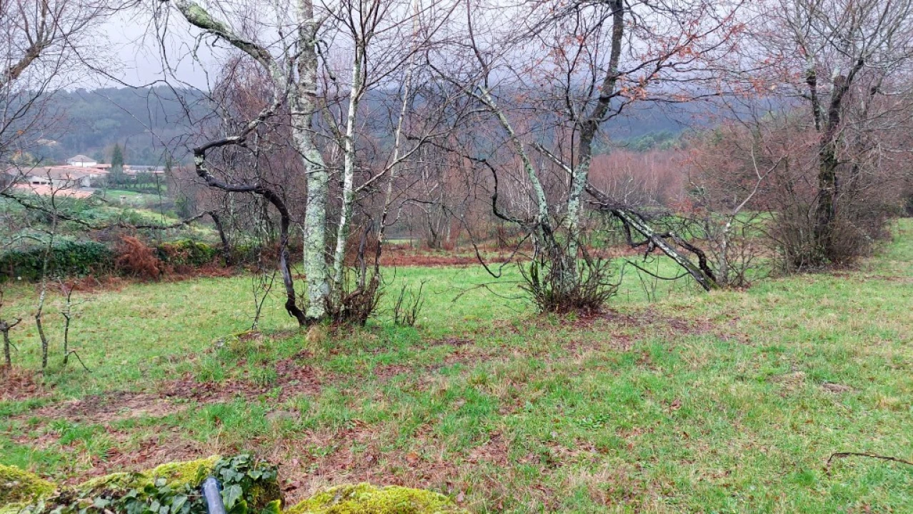 Terreno para Venda em Rossas Foto 3