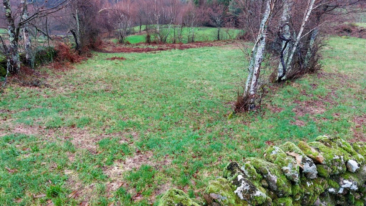 Terreno para Venda em Rossas Foto 5