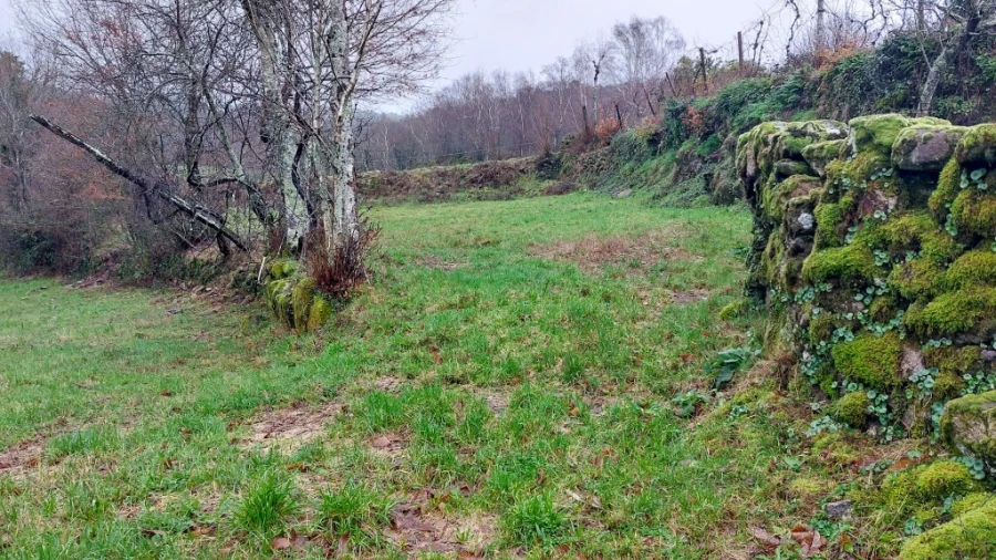 Terreno para Venda em Rossas