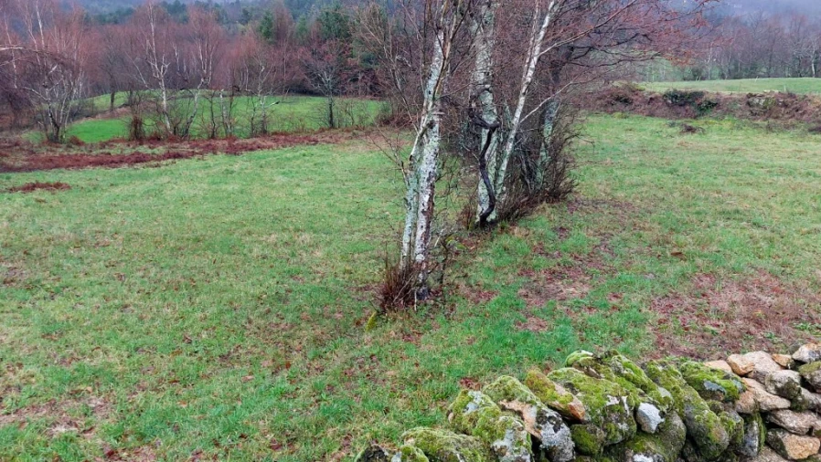 Terreno para Venda em Rossas Foto 2