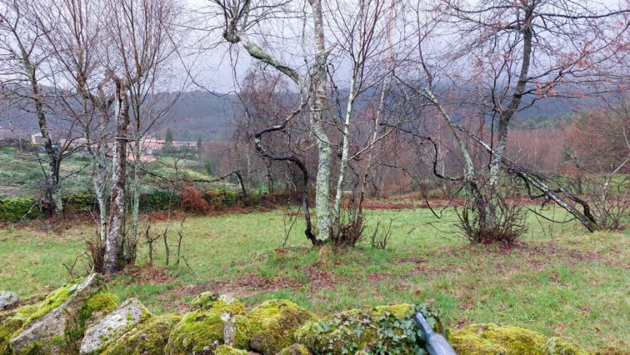Terreno para Venda em Rossas Foto 7