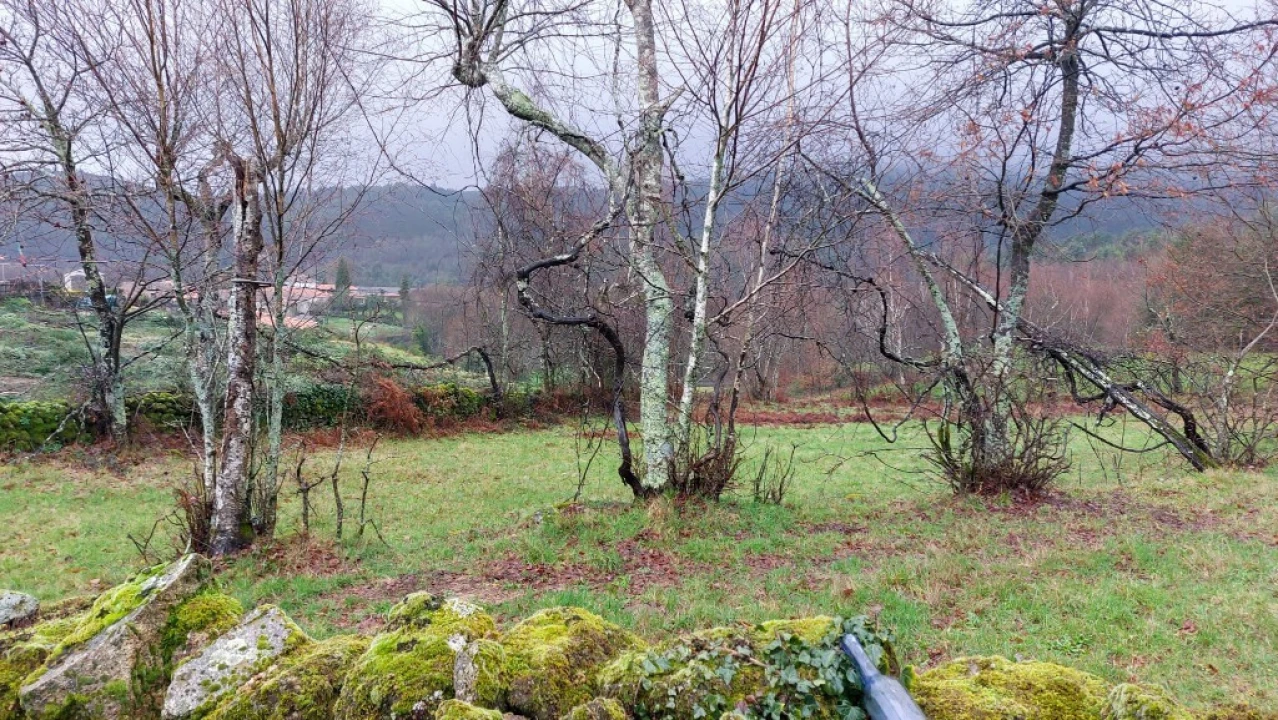 Terreno para Venda em Rossas Foto 7
