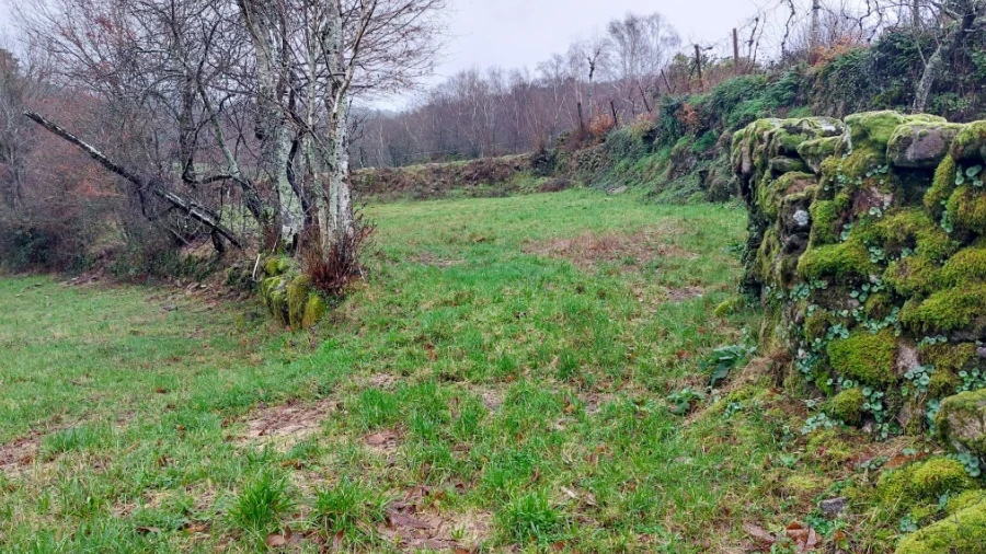 Terreno para Venda em Rossas