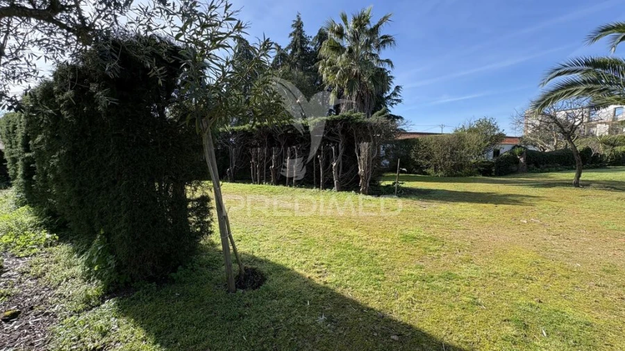 Quinta T4 para Venda em Montalvo Foto 4