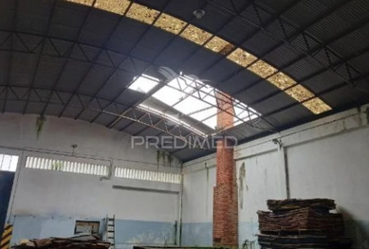 Armazém para Venda em Santa Maria de Lamas Foto 12