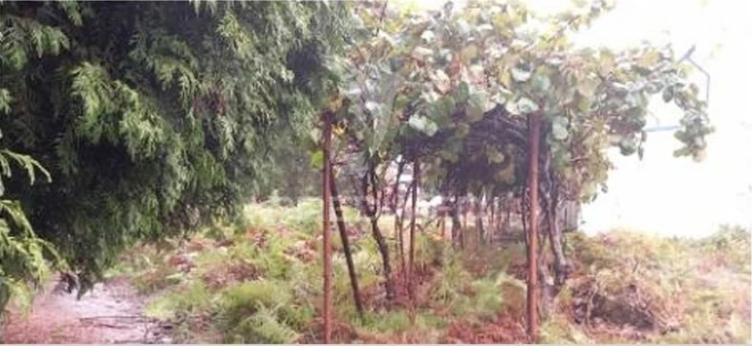 Armazém para Venda em Santa Maria de Lamas Foto 7