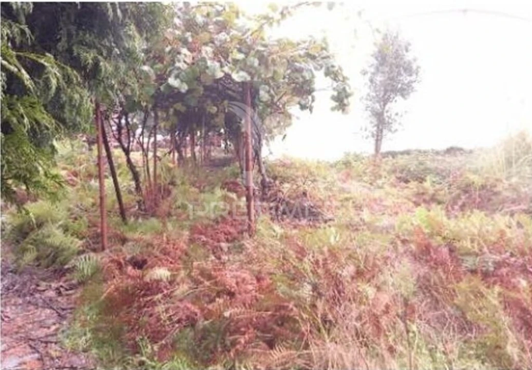 Armazém para Venda em Santa Maria de Lamas Foto 6