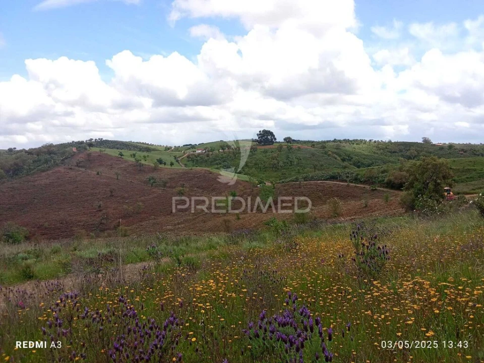 Terreno para Venda em Luzianes-Gare Foto 9