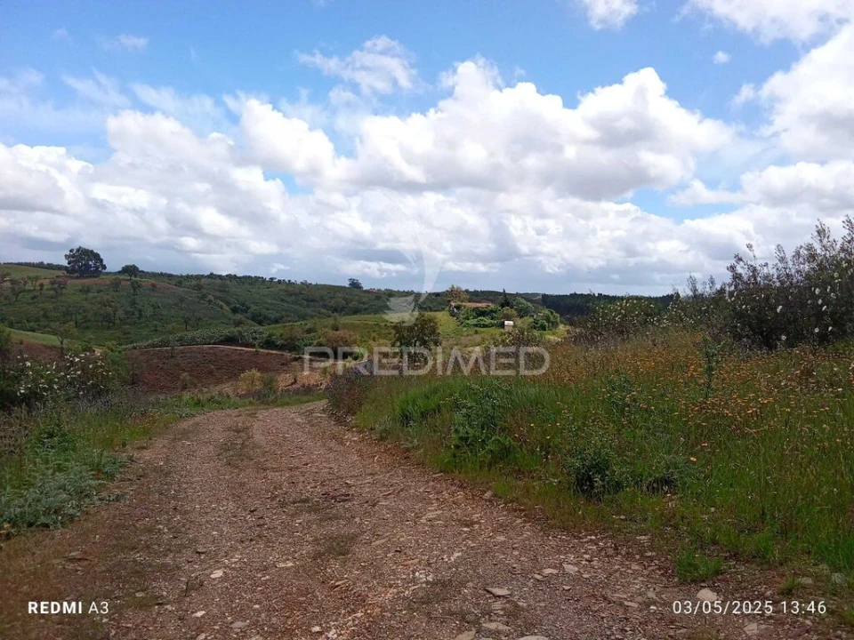 Terreno para Venda em Luzianes-Gare Foto 14