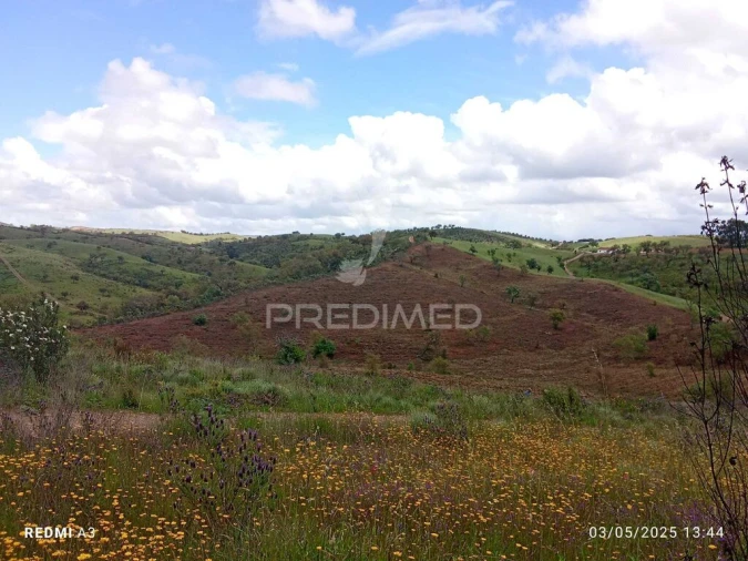 Terreno para Venda em Luzianes-Gare Foto 8