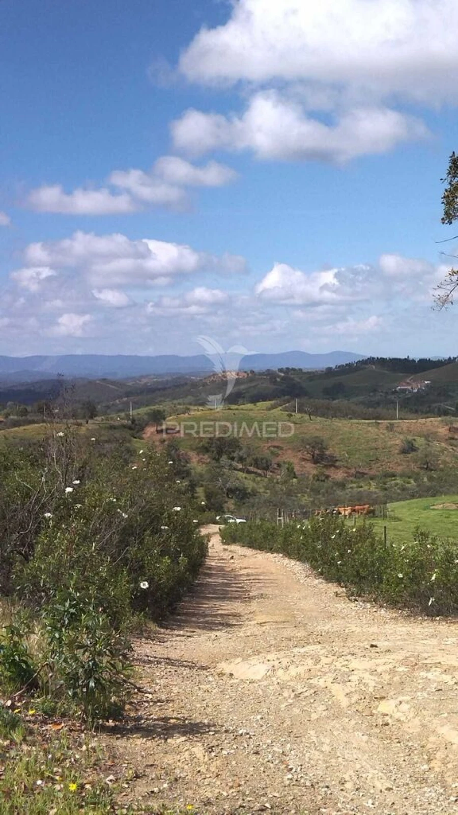 Terreno para Venda em Luzianes-Gare Foto 2