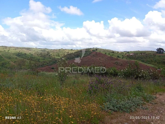 Terreno para Venda em Luzianes-Gare Foto 10