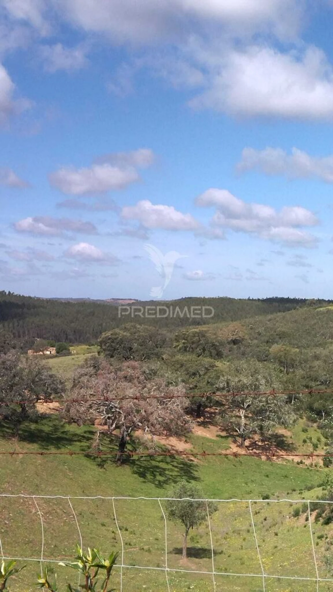 Terreno para Venda em Luzianes-Gare Foto 12