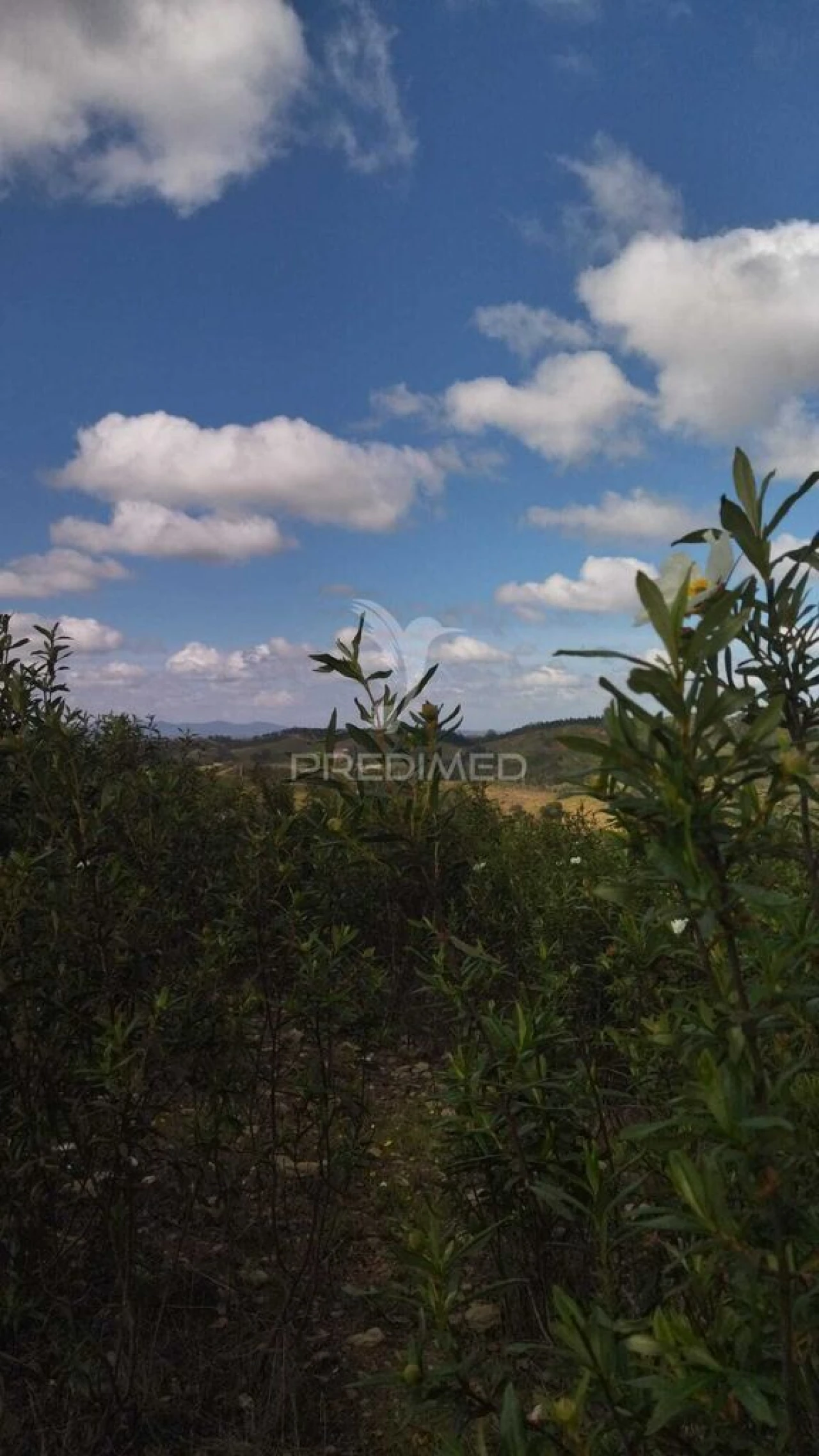 Terreno para Venda em Luzianes-Gare Foto 11