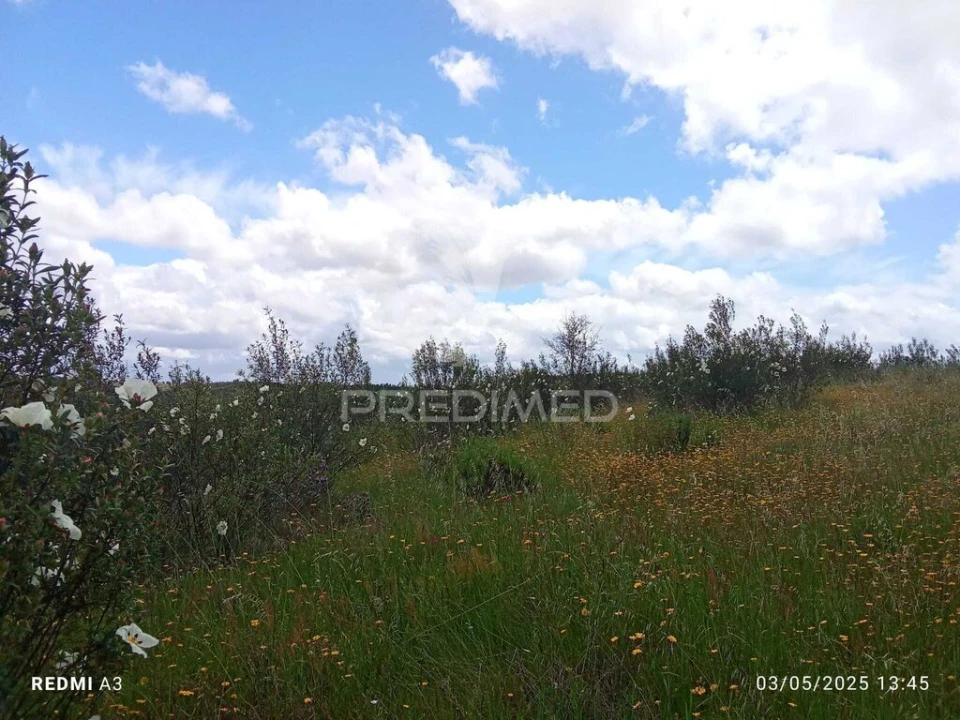 Terreno para Venda em Luzianes-Gare Foto 14