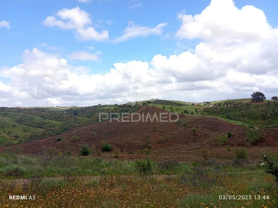 Terreno para Venda em Luzianes-Gare Foto 3