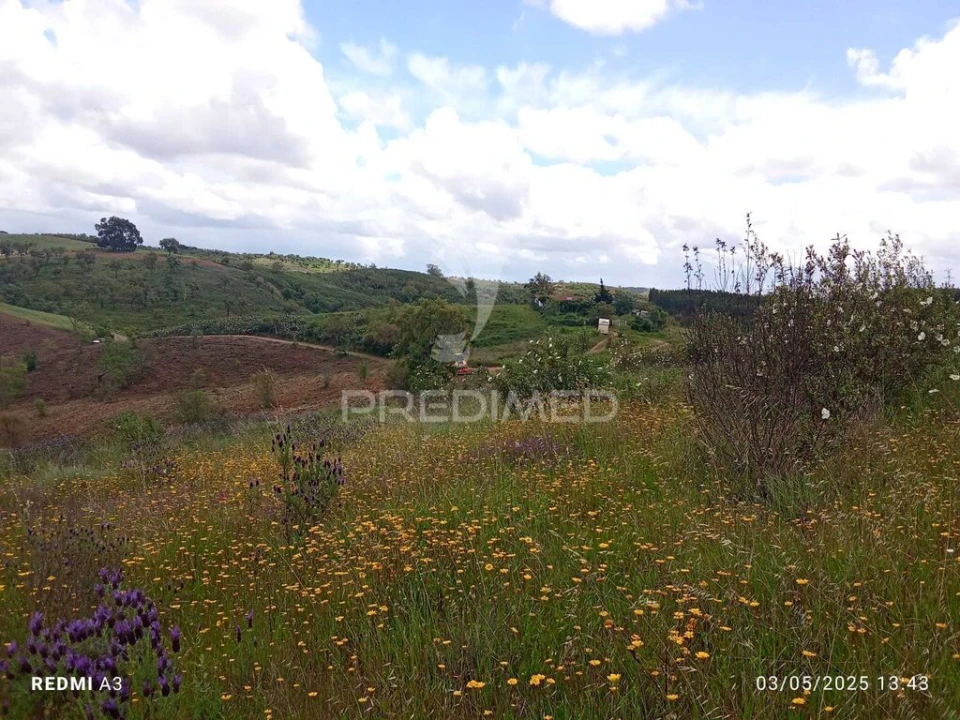 Terreno para Venda em Luzianes-Gare Foto 15
