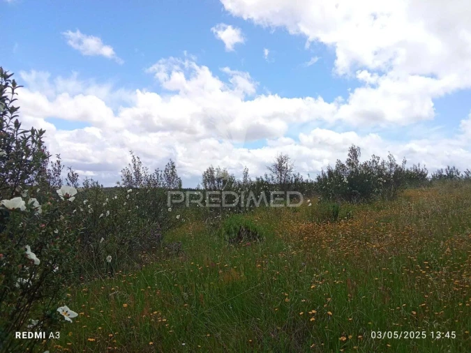 Terreno para Venda em Luzianes-Gare Foto 14