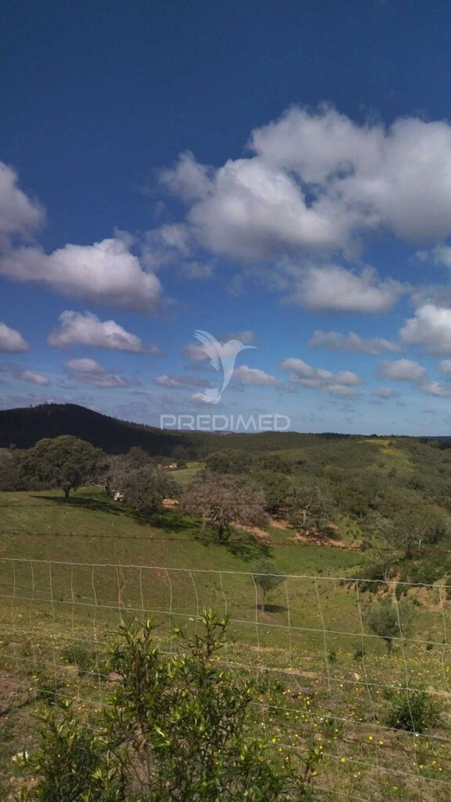 Terreno para Venda em Luzianes-Gare Foto 13