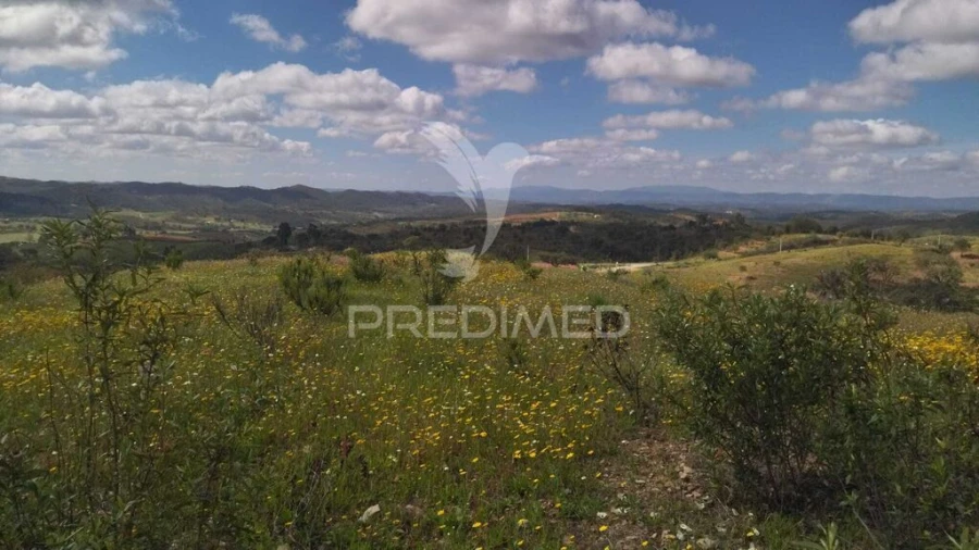 Terreno para Venda em Luzianes-Gare Foto 16