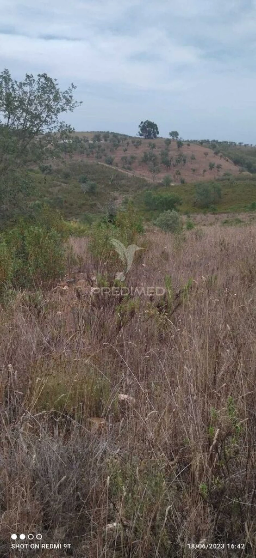 Terreno para Venda em Luzianes-Gare Foto 6