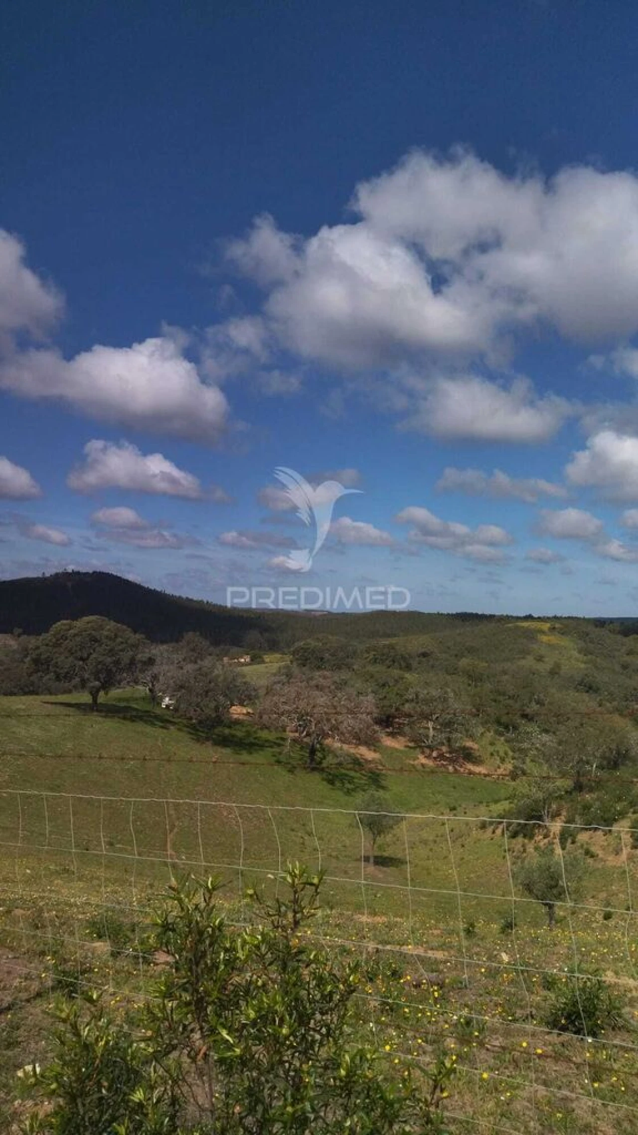 Terreno para Venda em Luzianes-Gare Foto 13