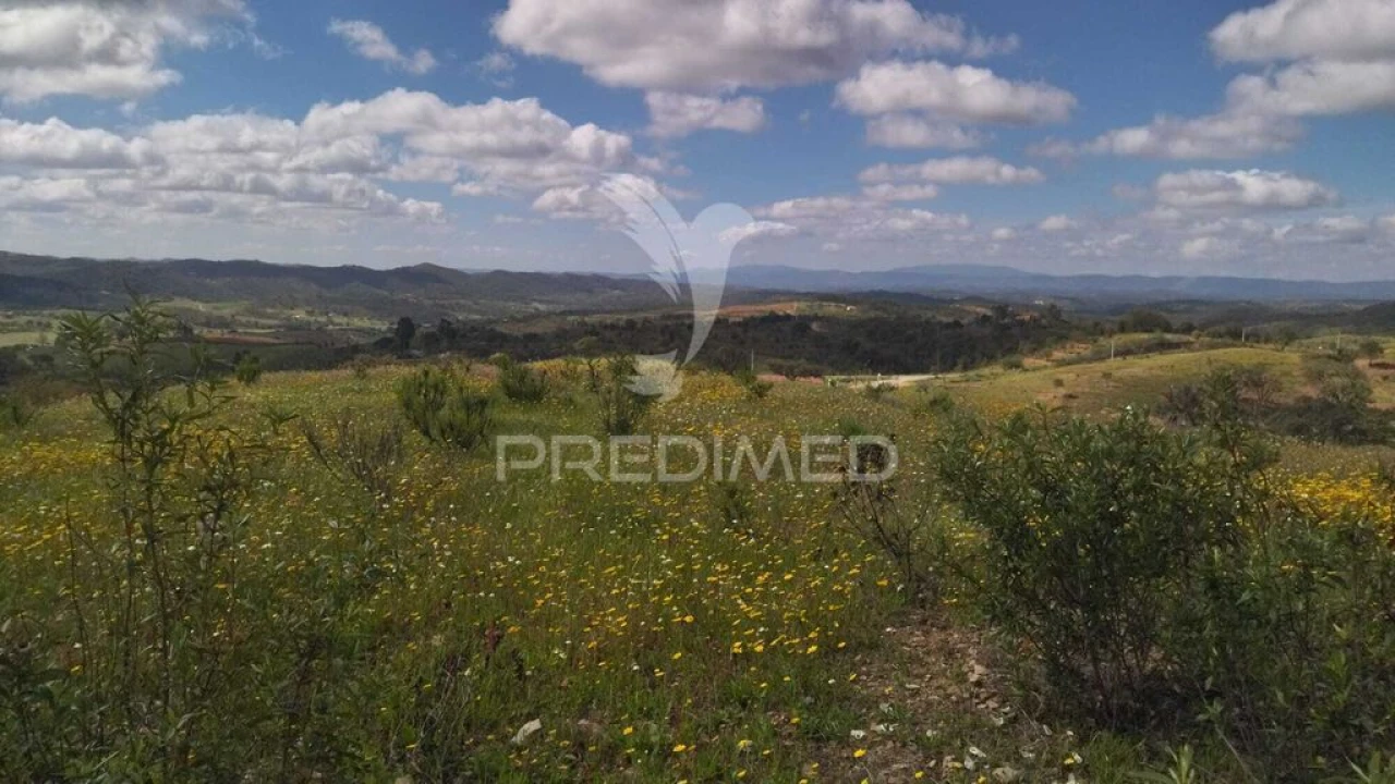 Terreno para Venda em Luzianes-Gare Foto 16