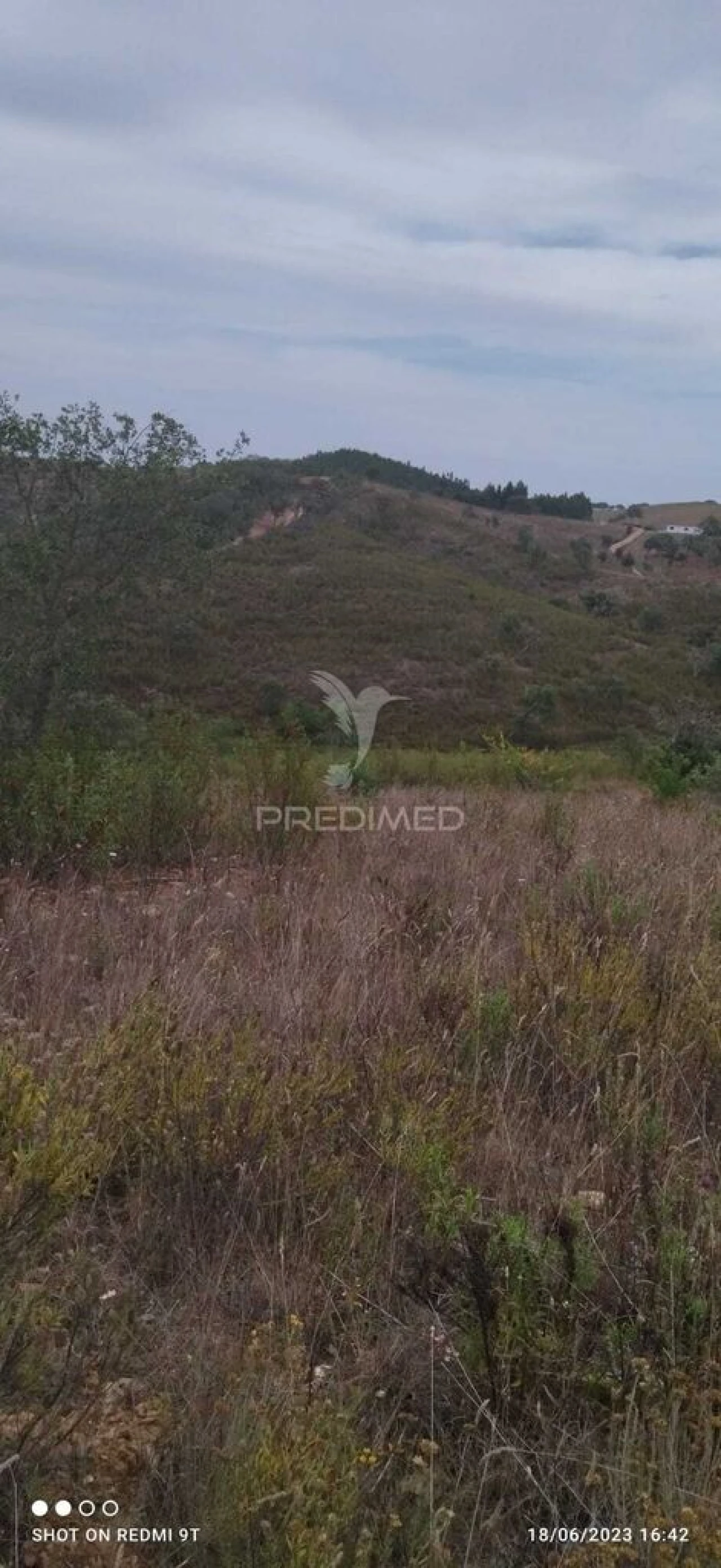 Terreno para Venda em Luzianes-Gare Foto 7