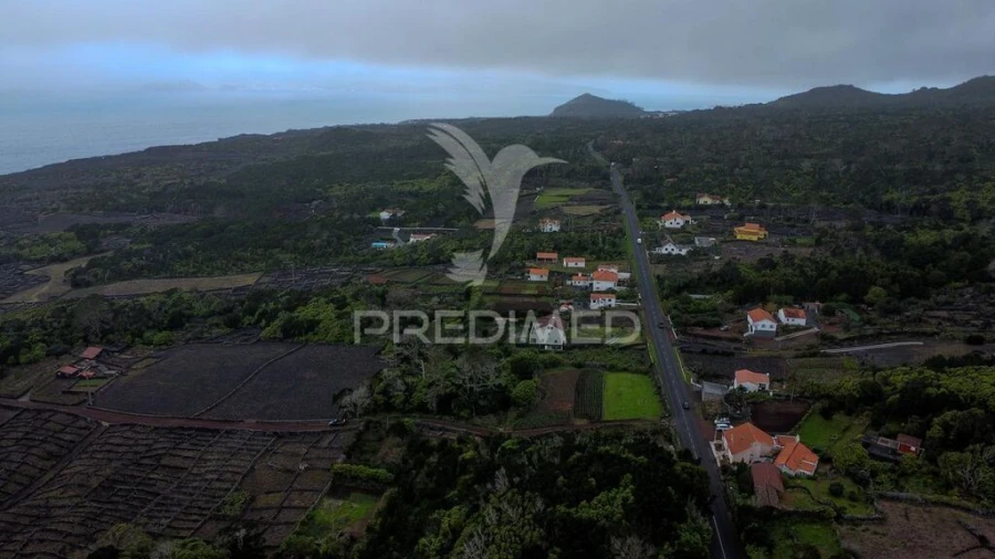 Moradia T2 para Venda em Candelaria Foto 15