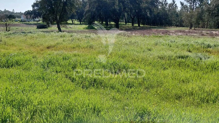 Terreno para Venda em São Domingos e Vale de Água