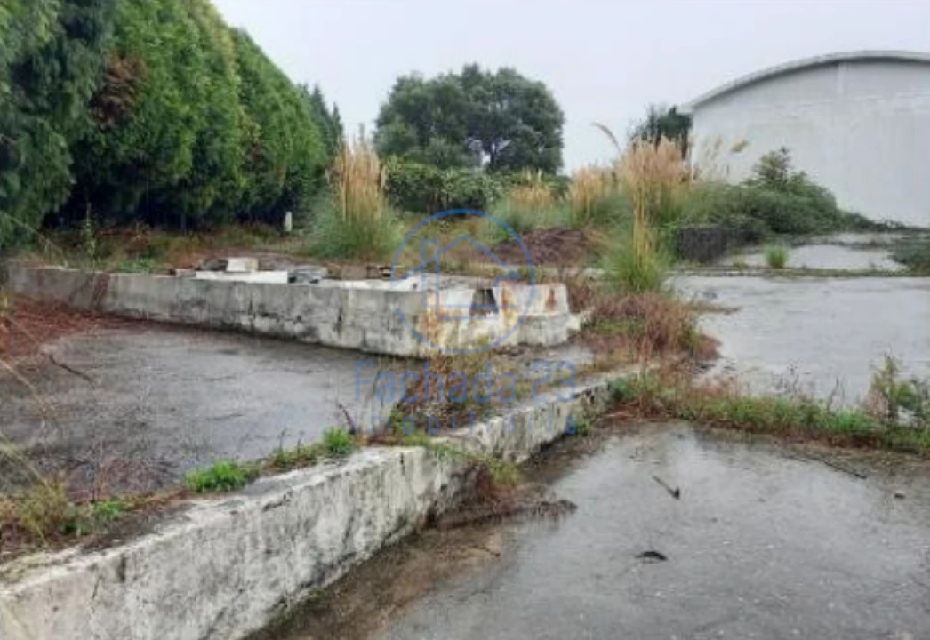 Armazém para Venda em Santa Maria de Lamas Foto 2