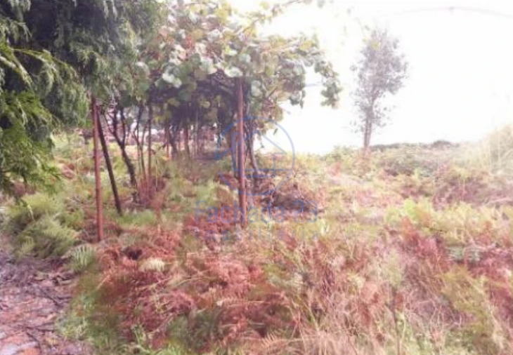 Armazém para Venda em Santa Maria de Lamas Foto 6