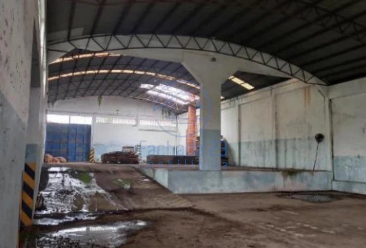 Armazém para Venda em Santa Maria de Lamas Foto 11