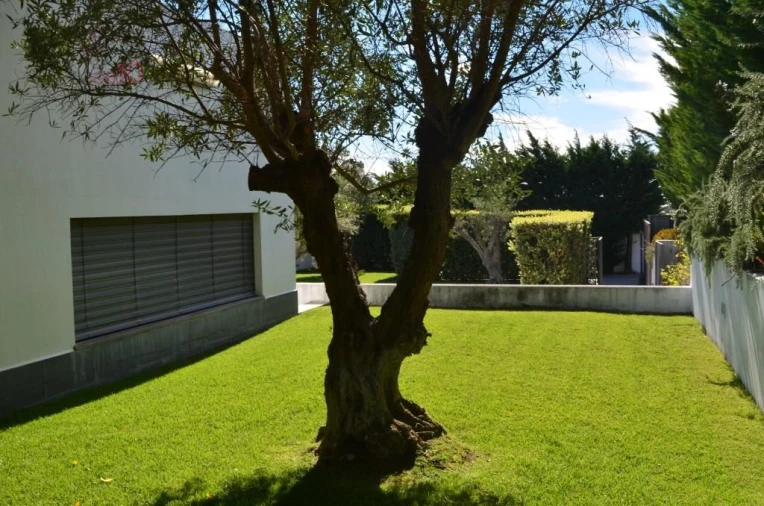 Moradia T5 para Venda em Santa Maria e São Miguel, São Martinho, São Pedro Penaferrim Foto 19