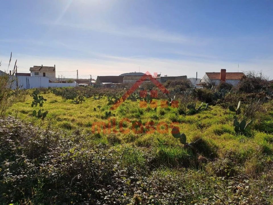 Terreno para Venda em Freiria Foto 1