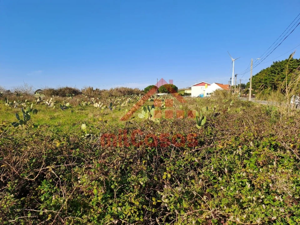 Terreno para Venda em Freiria Foto 3