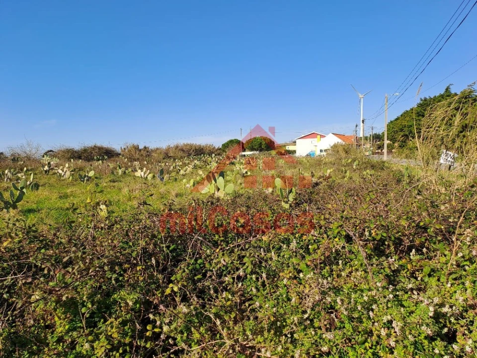 Terreno para Venda em Freiria Foto 4