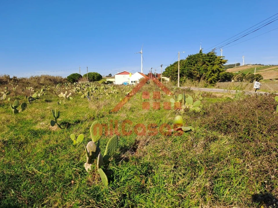 Terreno para Venda em Freiria Foto 7