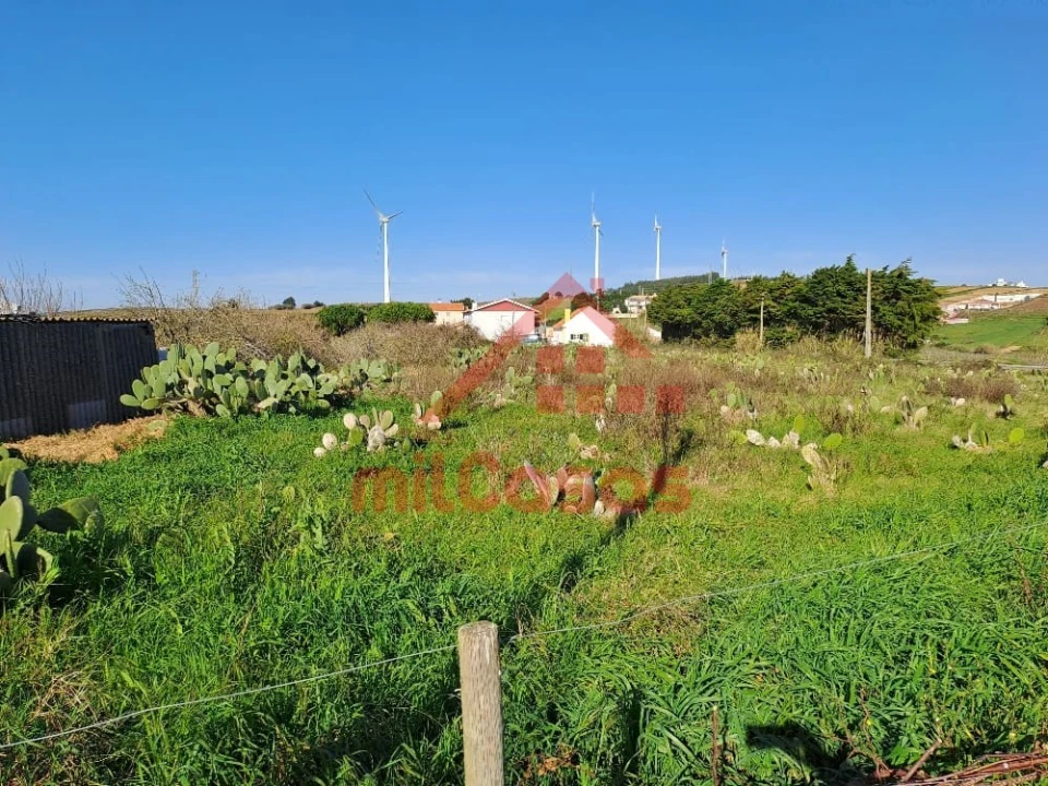 Terreno para Venda em Freiria Foto 8