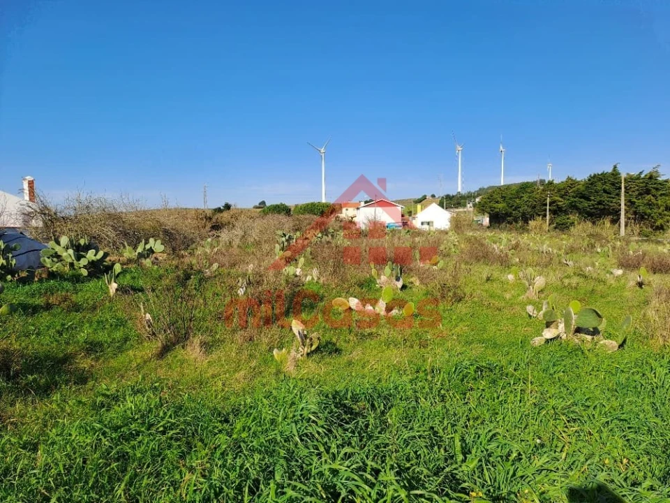 Terreno para Venda em Freiria Foto 10