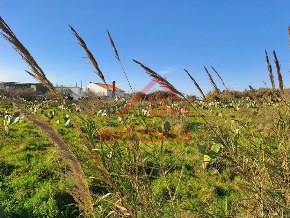 Terreno para Venda em Freiria Foto 12