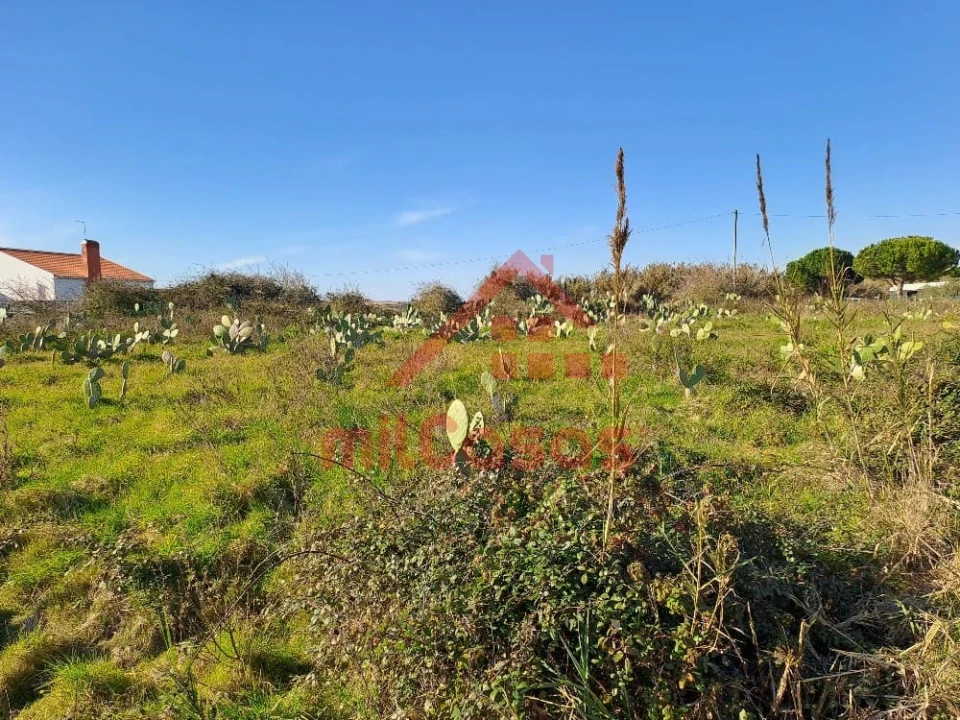 Terreno para Venda em Freiria Foto 14
