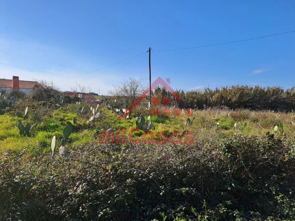 Terreno para Venda em Freiria Foto 16