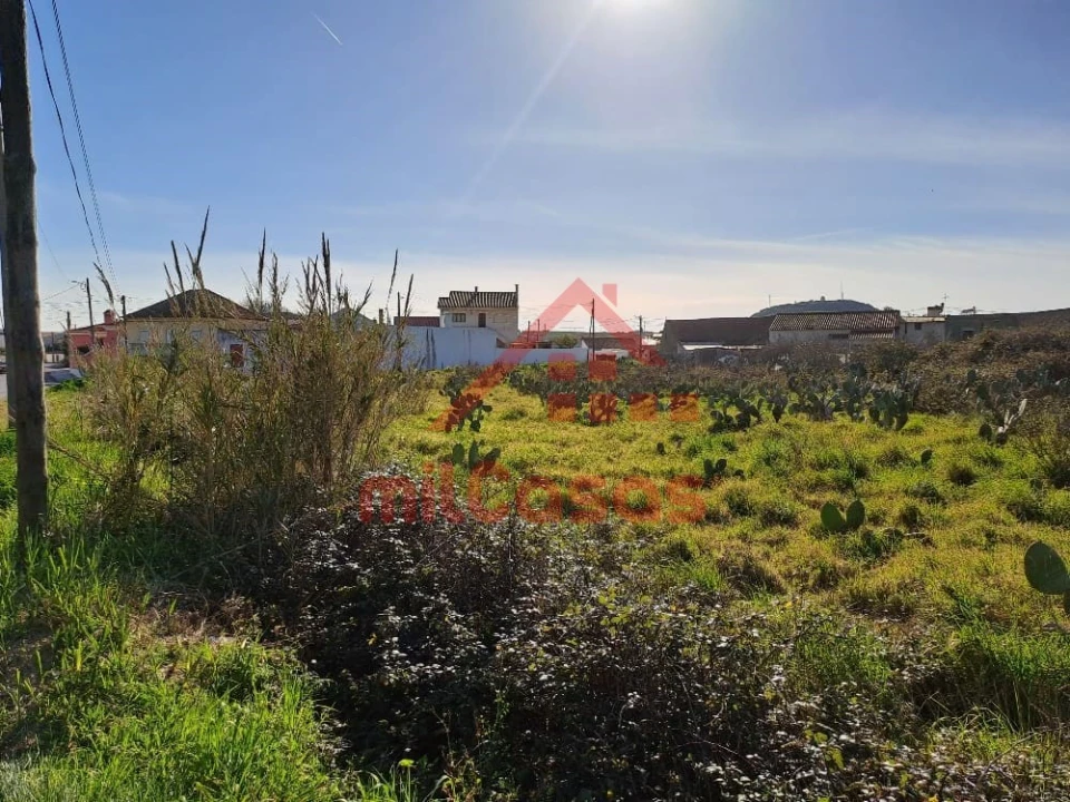 Terreno para Venda em Freiria Foto 17